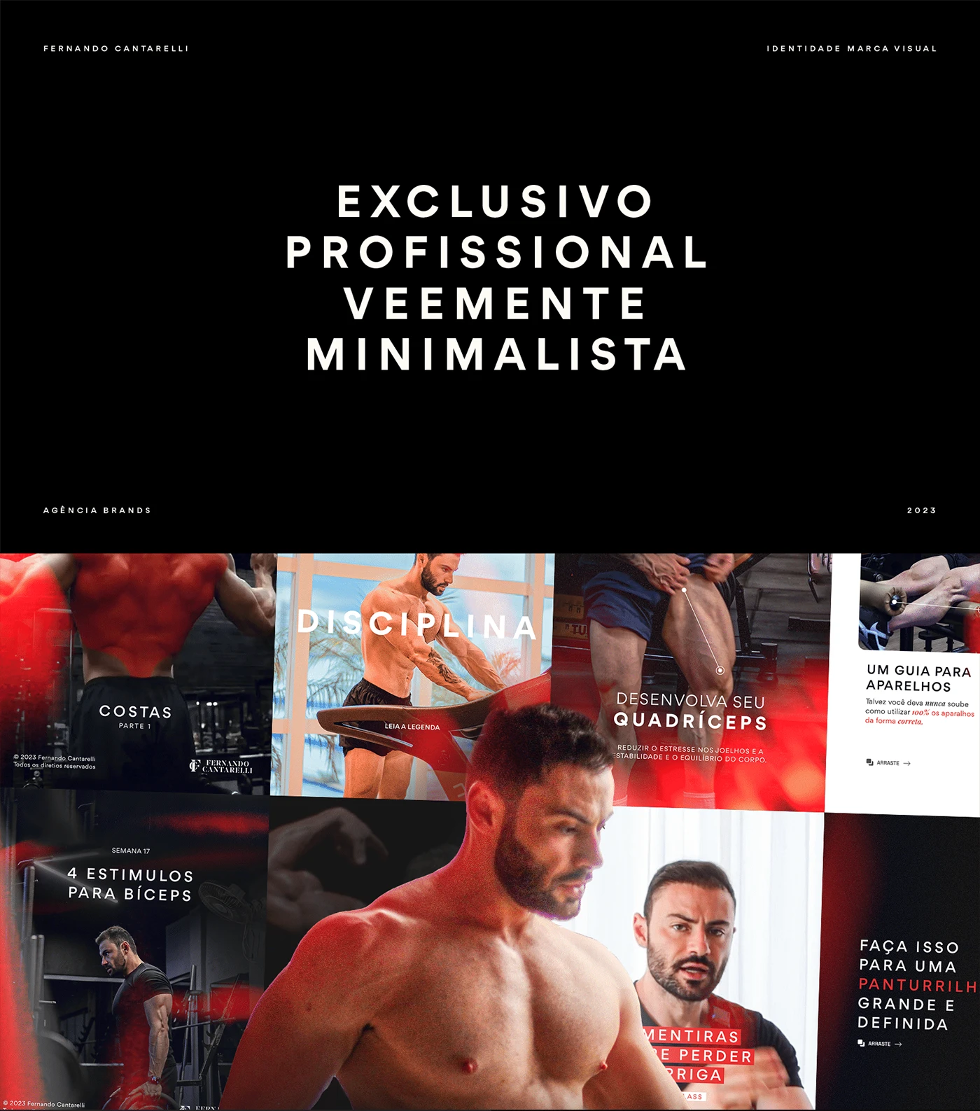 Fernando Cantarelli | Branding Infoproduto